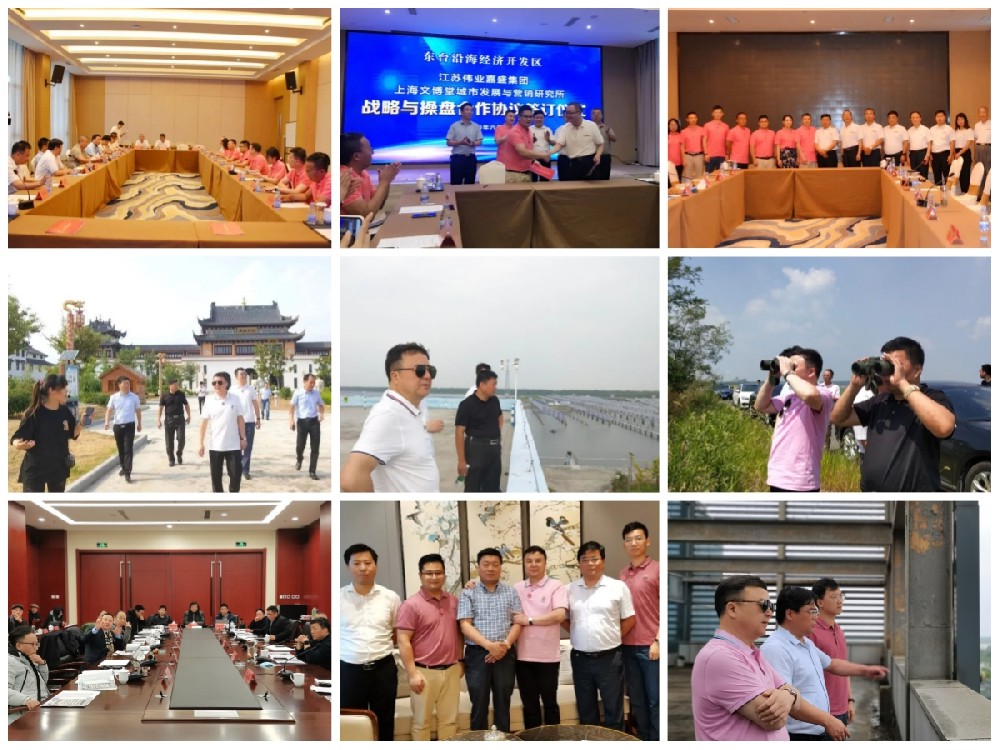 东台大宋府文旅操盘掠影.jpg