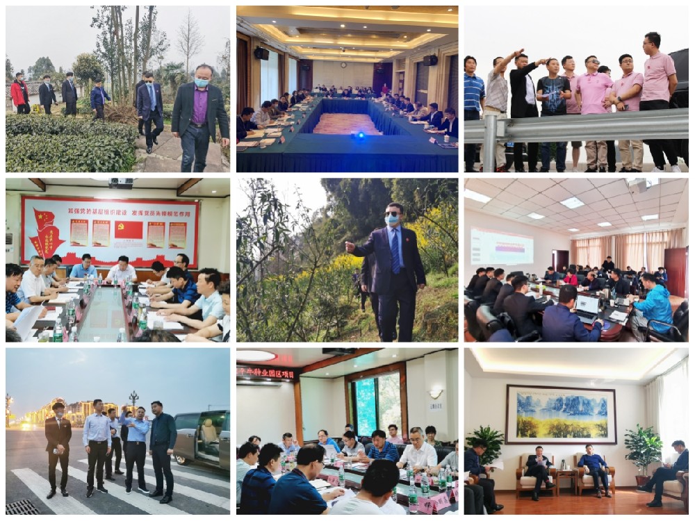 中欧种业园区操盘掠影.jpg