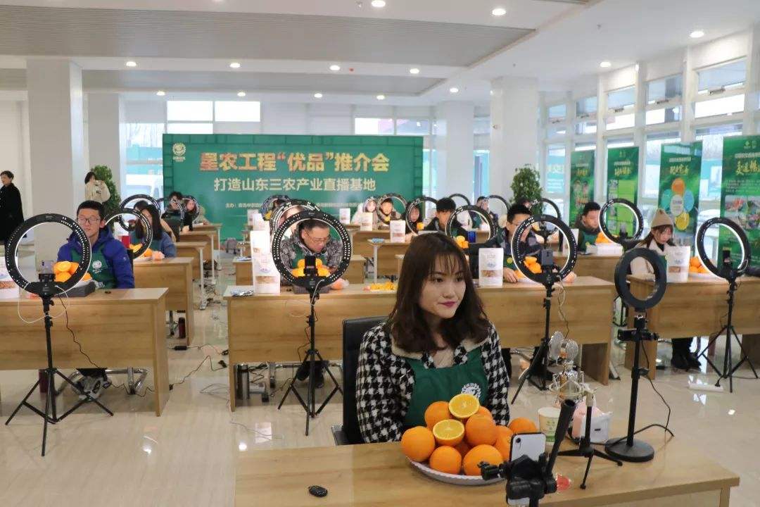 77ed36f4b18679ce54d4cebda306117e-19.jpg