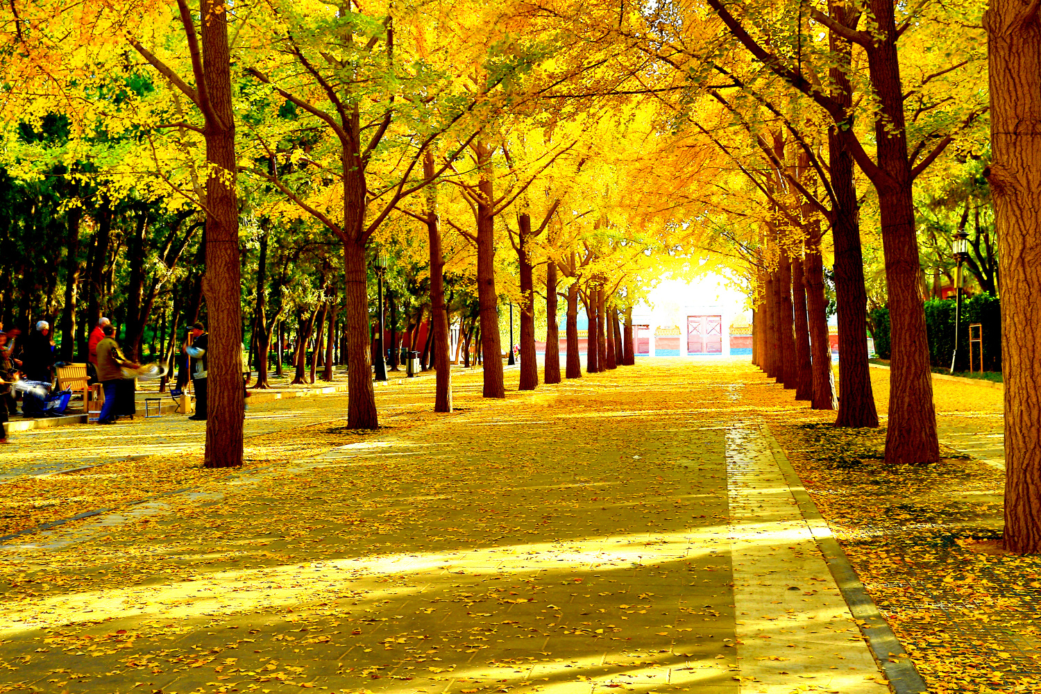 c711-760c4306d61f123d54ec220150f38210.png
